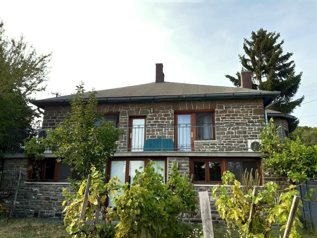 蒂豪尼Laszlo Apartman公寓 外观 照片